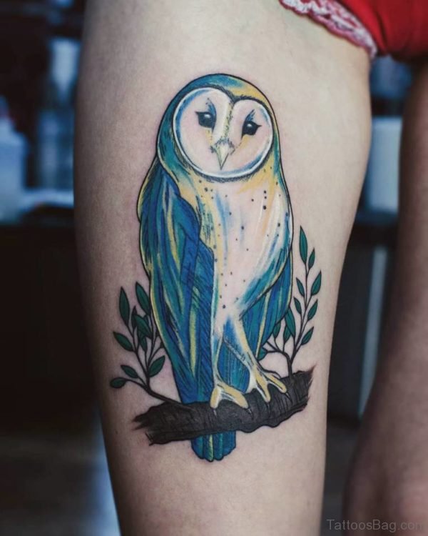 Amazing Barn Owl Tattoo