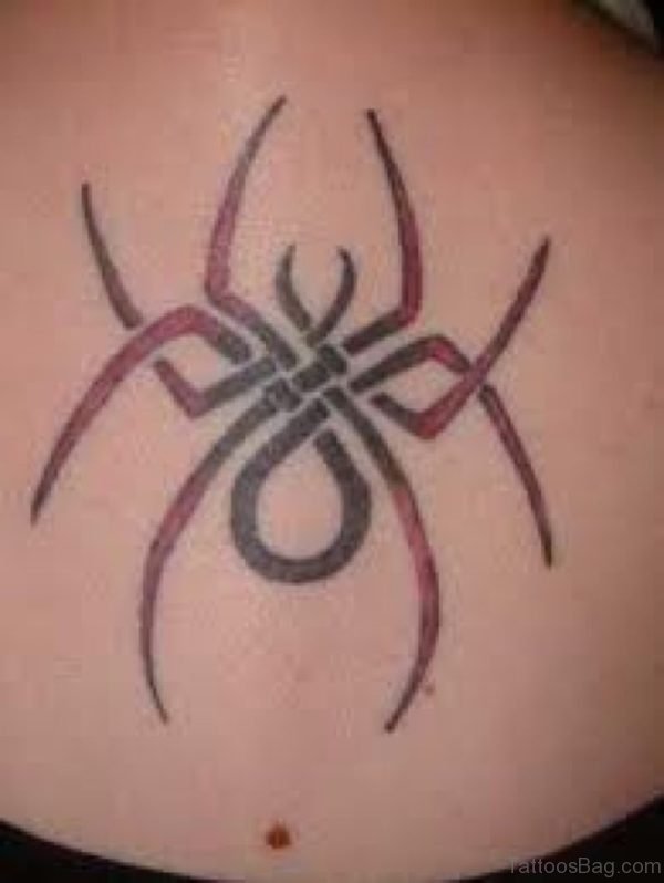Amazing Spider Tattoo Design