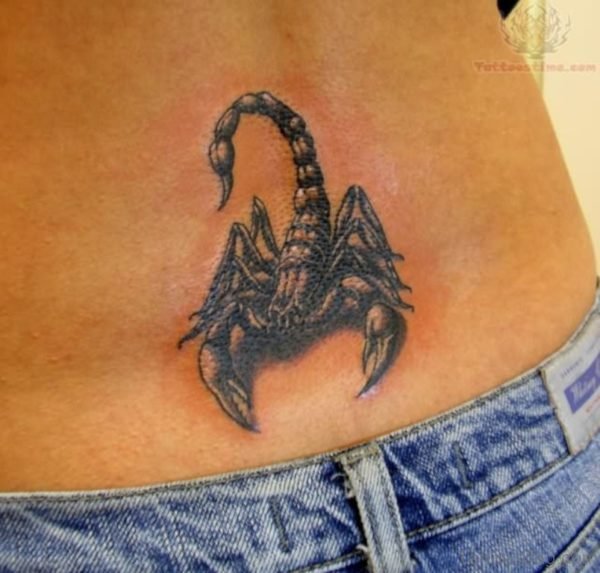 Attractive Scorpion Tattoo Design