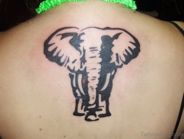  Elephant Tattoo On Back