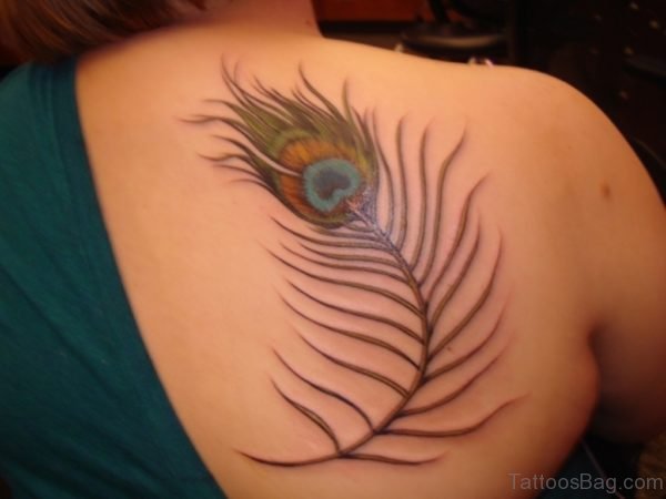 Back Peacock Feather Tattoo