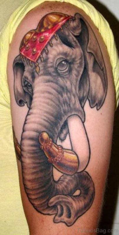 Beautiful Elephant Tattoo On Left Shoulder