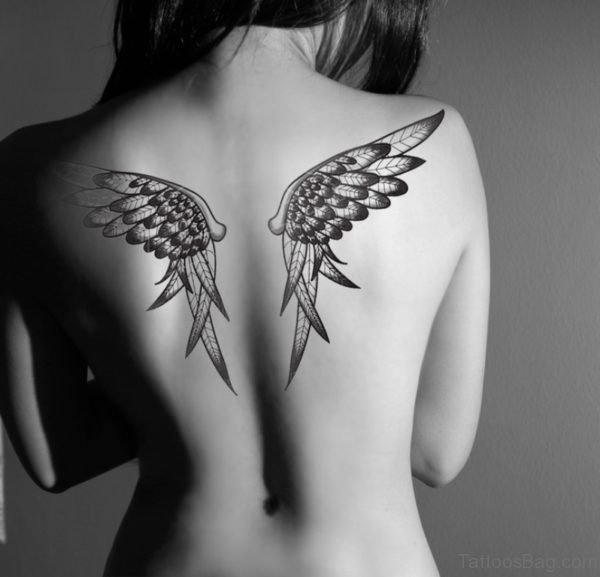 Beautiful Feather Tattoo Design