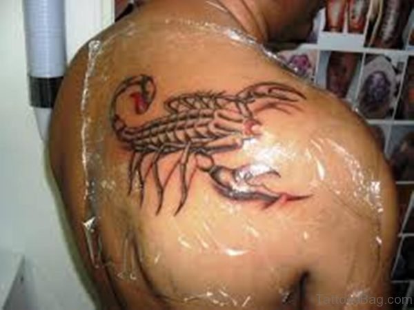 Beautiful  Scorpion Tattoo Design
