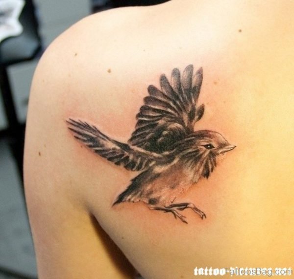 Black And Grey Flying Bird Tattoo On Back
