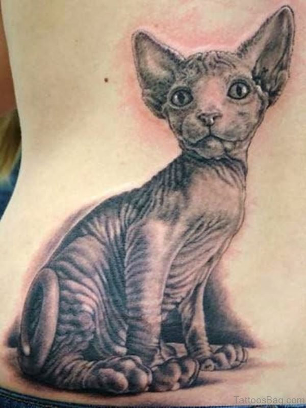 Cat Tattoo On Lower Back