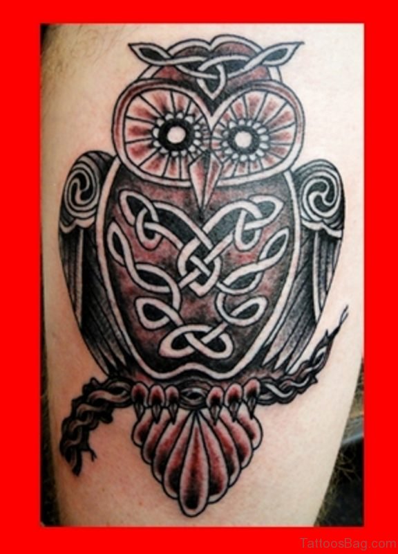 Celtic Owl Tattoo On Thigh