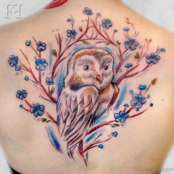 Colorful Owl Tattoo On Back