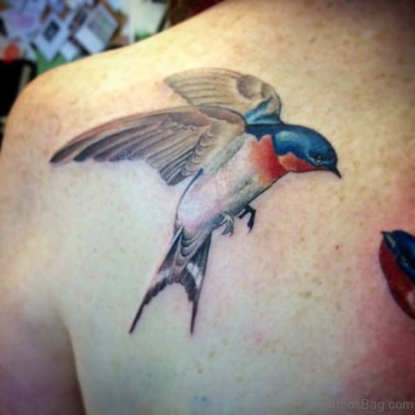 Colorful Swallow Tattoo Design