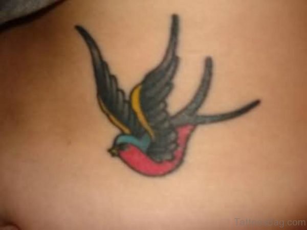 Colorful Bird Tattoo On Back