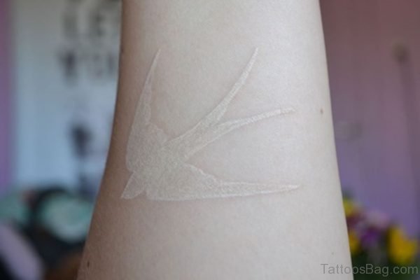 Dove Tattoo