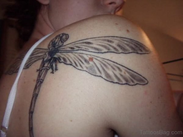 Dragonfly Tattoo On Back