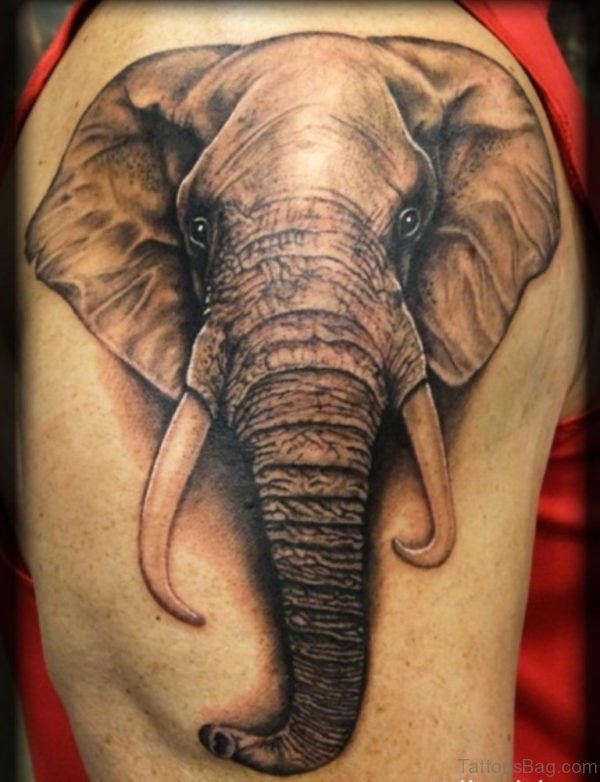 Elephant Head Tattoo