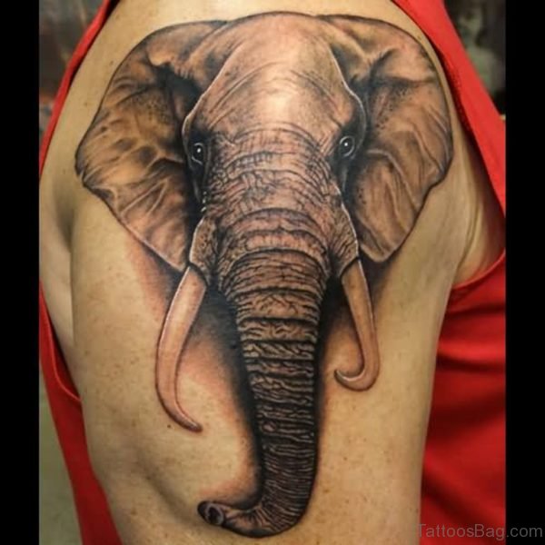 Elephant Face On Right Shoulder