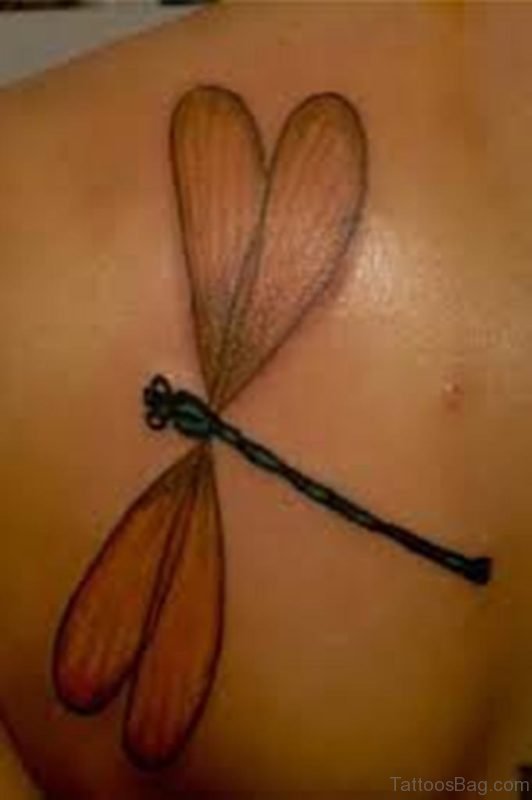 Enthralling Dragonfly Tattoo On Back