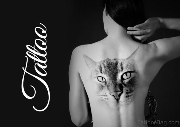 Excellent Cat Tattoo