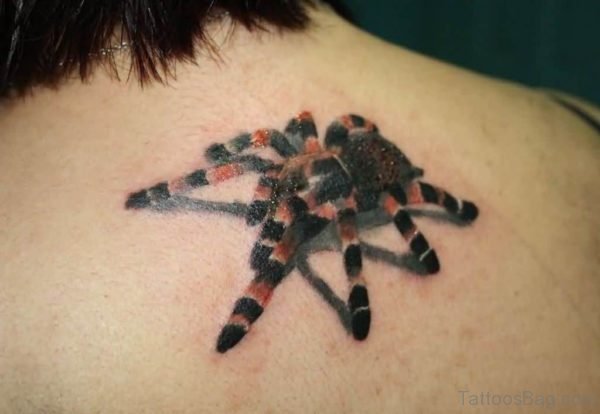 Fabulous Spider Tattoo
