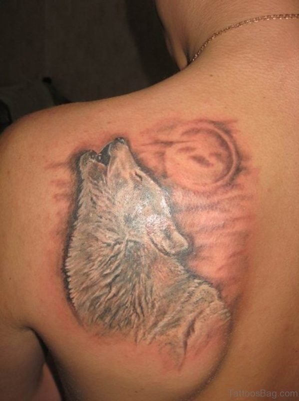 Fabulous Wolf Tattoo On Back 