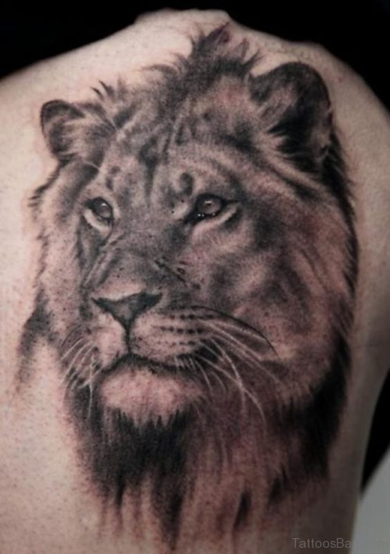 Fancy Lion Tattoo