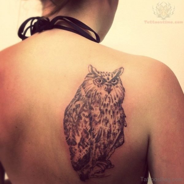 Fantastic Owl Tattoo On Back