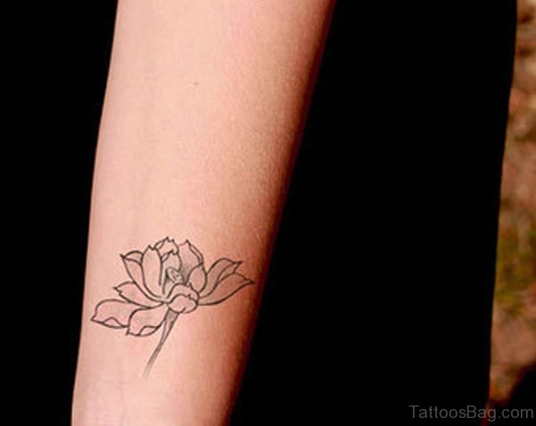 Fine Lotus Tattoo