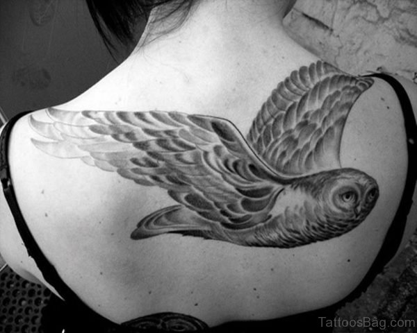 Flying Owl Tattoo Design  On Back