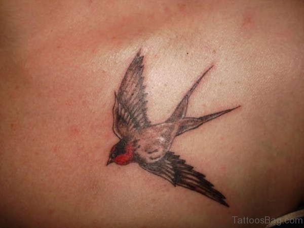 Good Looking  Swallow Tattoo