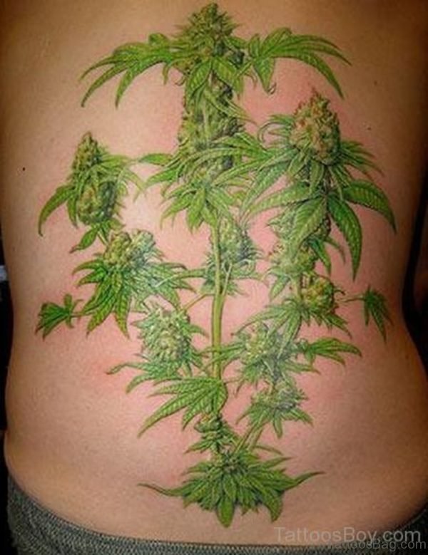 Green Tree Tattoo On Back