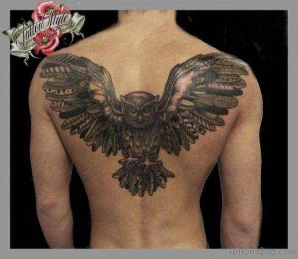 Grey Owl Tattoo Design On Back
