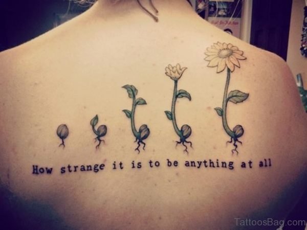 How Strange It Is To Be Anything At All