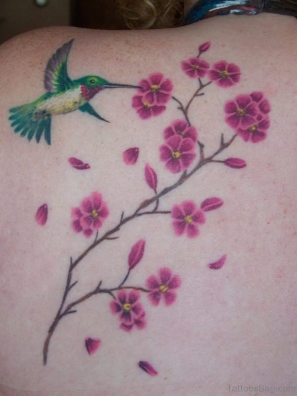 Hummingbird And Cheery Blossom Tattoo