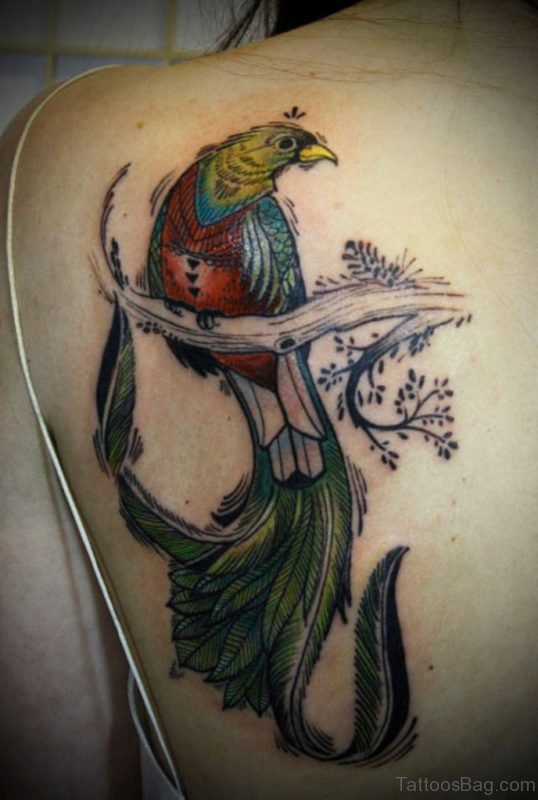 Impressive Bird Tattoo