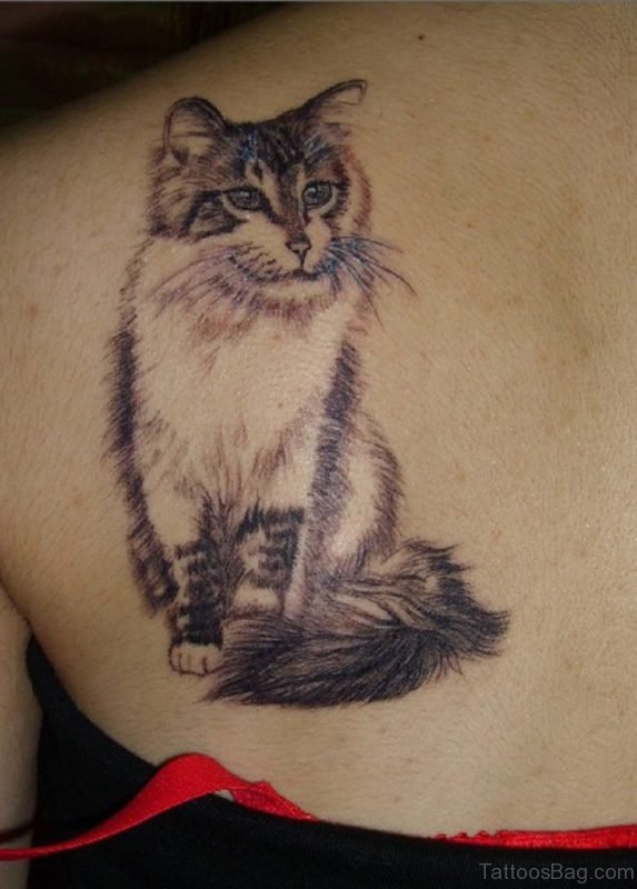 Impressive Cat Tattoo