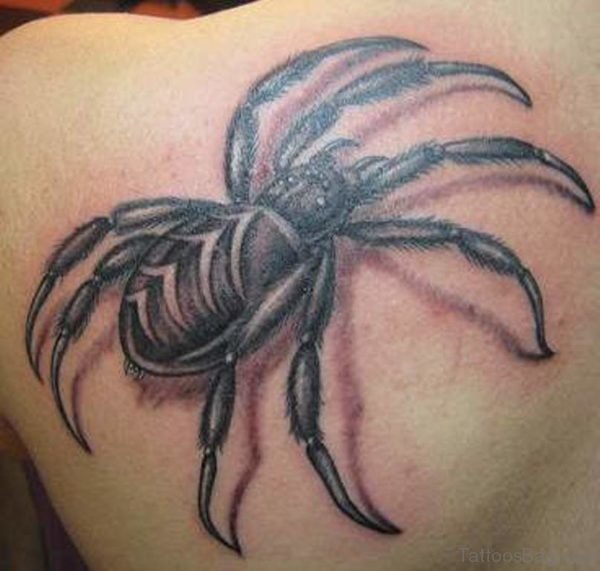 Large Spider Tattoo On Left Back