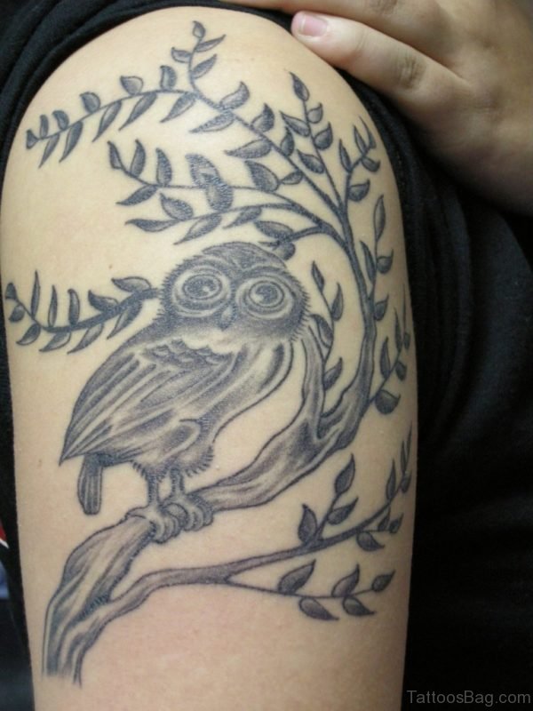 Leaves And Owl Tattoo