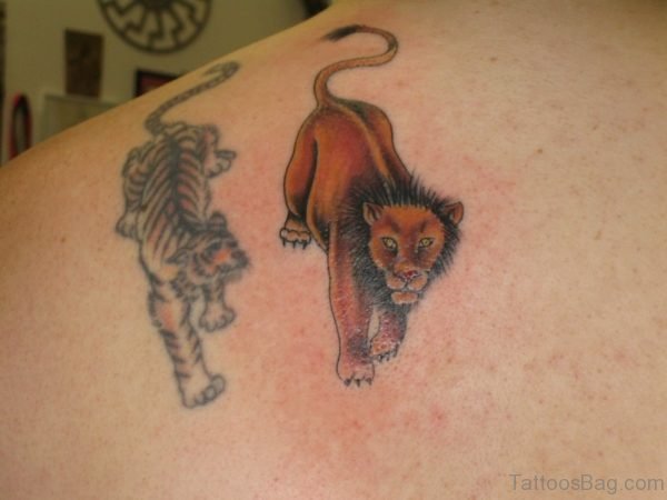 Lion And Tiger Shoulder Tattoo