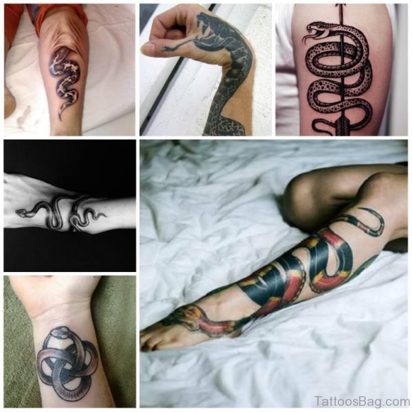 Multiple Snake Tattoo Designs 
