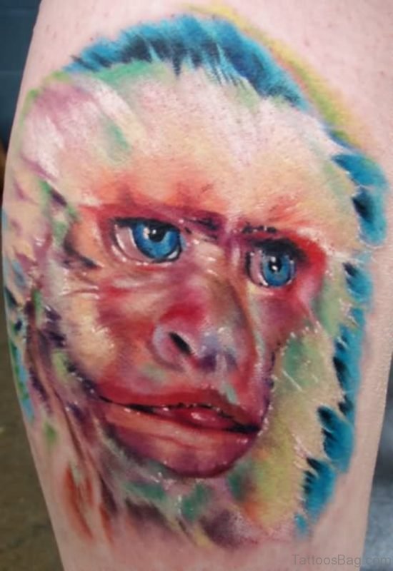 Nice Colorful Monkey Shoulder Tattoo