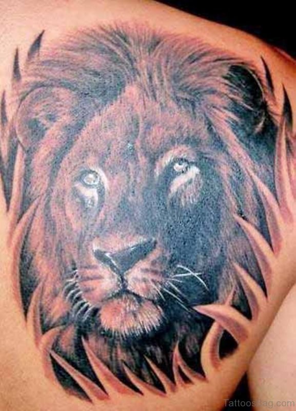  Lion Tattoo On Back
