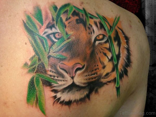 Nice Tiger Face Tattoo Design