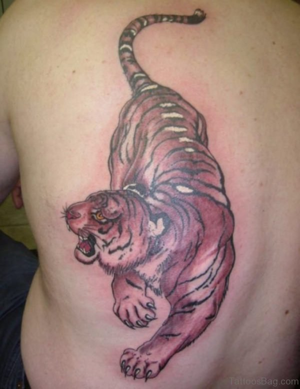 Nice Tiger Tattoo On Back 