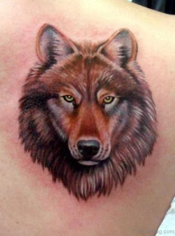 Nice Wolf Face Tattoo