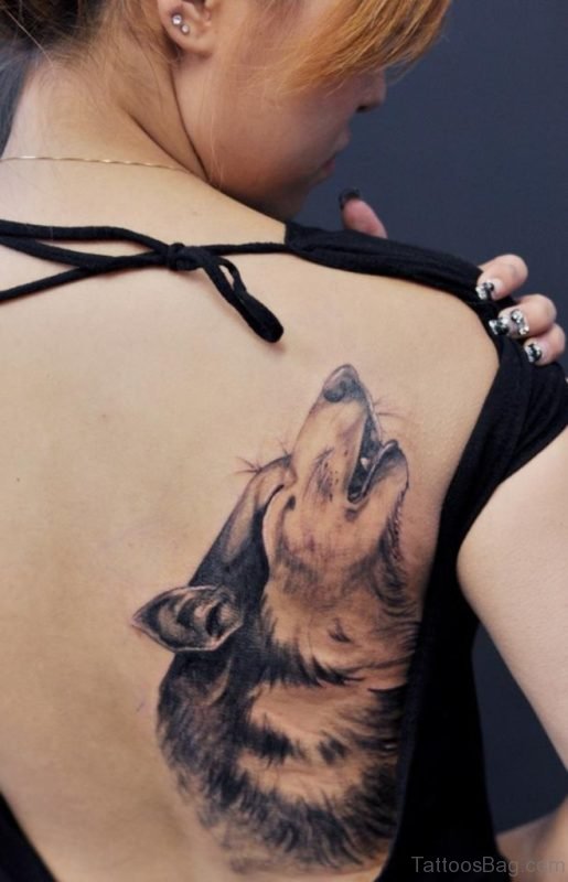 Nice Wolf Tattoo On Back