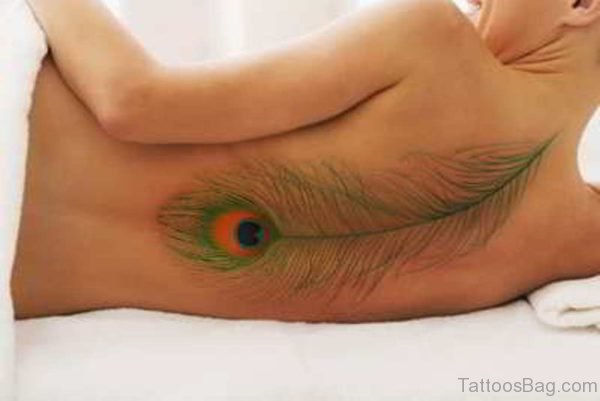 Outstanding  Peacock Feather Tattoo