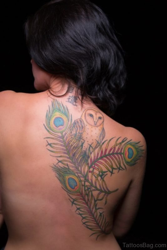 Peacock Feather And Owl Tattoo