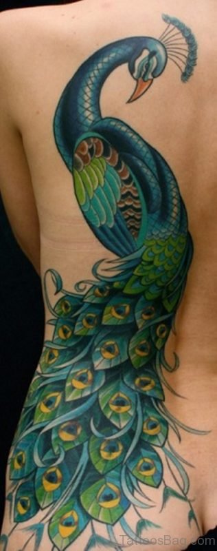 Peacock Feather Tattoo On Full Back