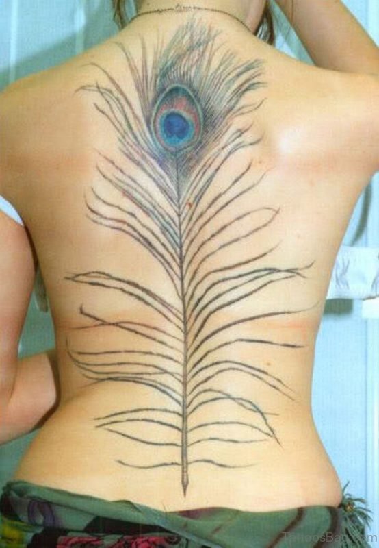 Peacock Feather Tattoo On Whole Back