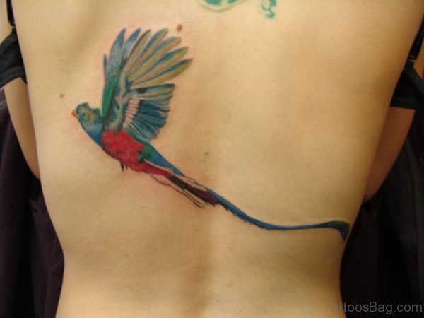  Bird Tattoo On Back