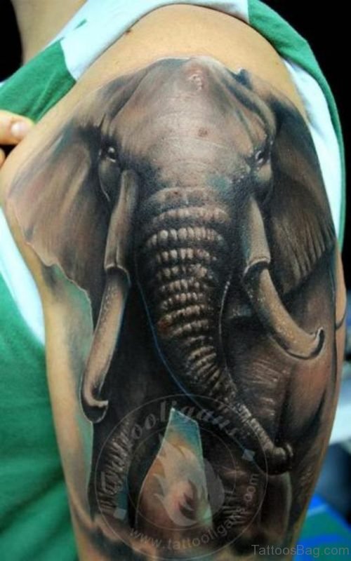 Realistic Elephant Tattoo On Shoulder