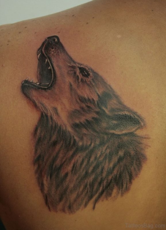 Roaring Wolf Tattoo